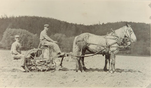 horse and buggy